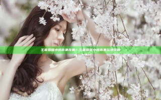 王者荣耀小虎市集在哪？王者荣耀小虎市集玩法攻略